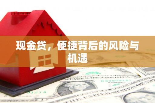 马村现金贷，便捷背后的风险与机遇