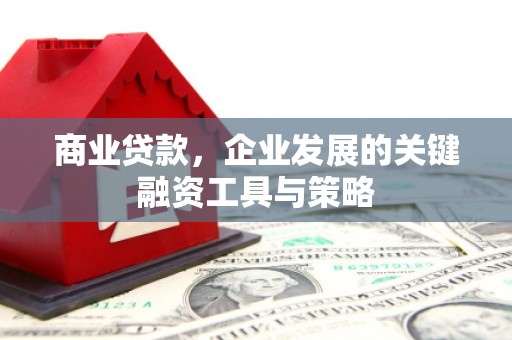 马村商业贷款，企业发展的关键融资工具与策略