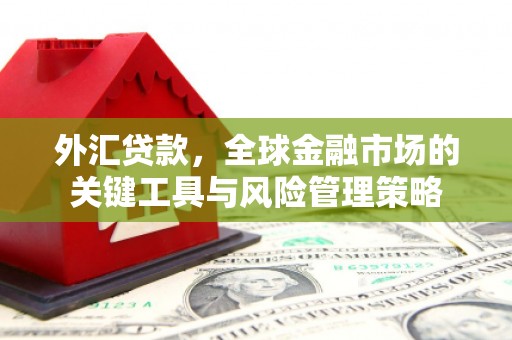 马村外汇贷款，全球金融市场的关键工具与风险管理策略
