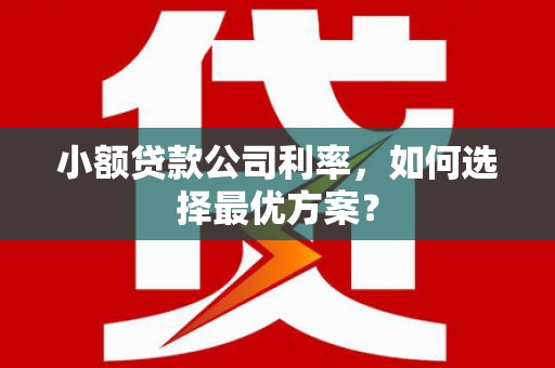 马村小额贷款公司利率，如何选择最优方案？