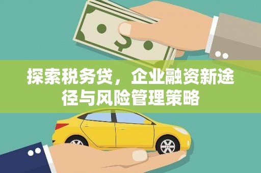 马村探索税务贷，企业融资新途径与风险管理策略