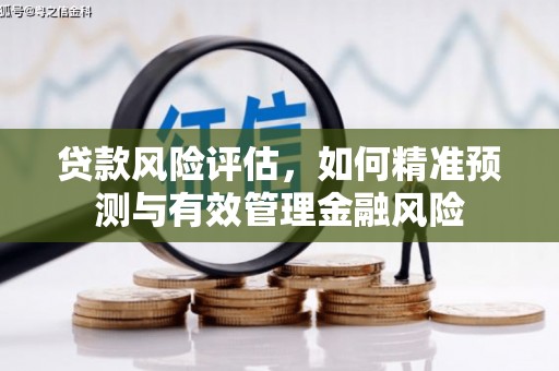 马村贷款风险评估，如何精准预测与有效管理金融风险