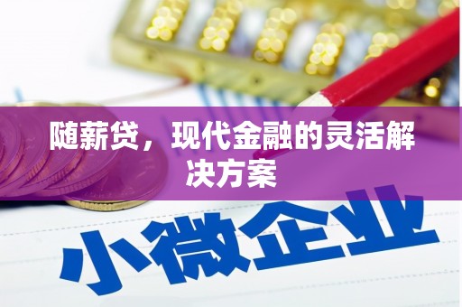 马村随薪贷，现代金融的灵活解决方案