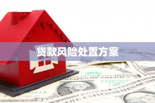 马村贷款风险处置方案