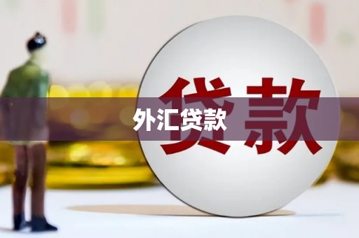 马村外汇贷款