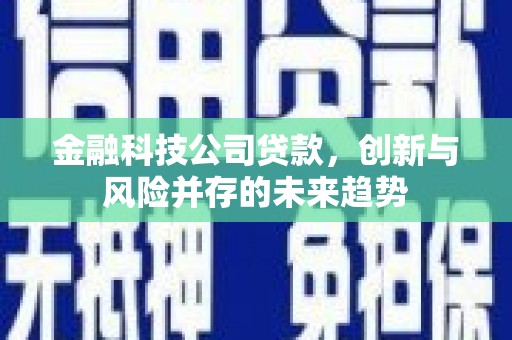 马村金融科技公司贷款，创新与风险并存的未来趋势