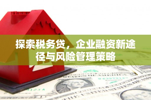 马村探索税务贷，企业融资新途径与风险管理策略