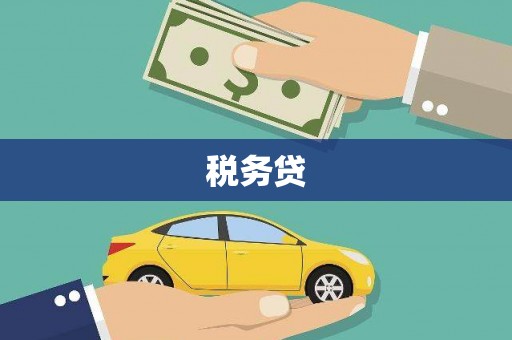 马村税务贷