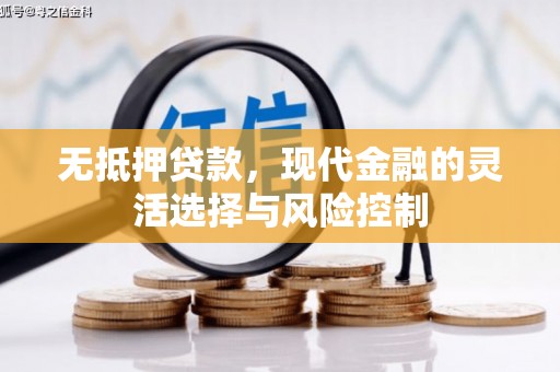马村无抵押贷款，现代金融的灵活选择与风险控制