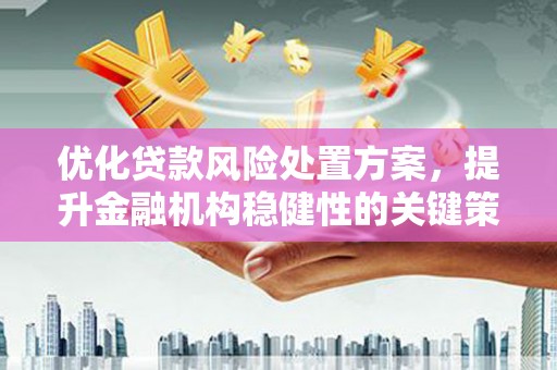 马村优化贷款风险处置方案，提升金融机构稳健性的关键策略