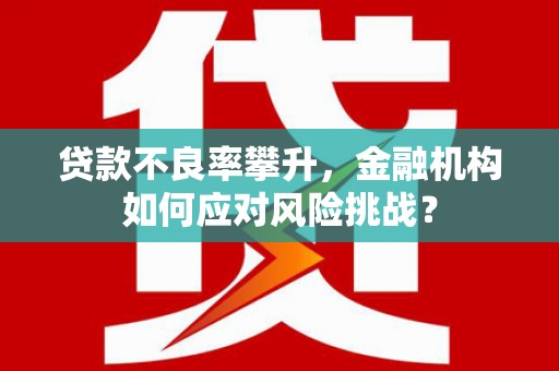 马村贷款不良率攀升，金融机构如何应对风险挑战？