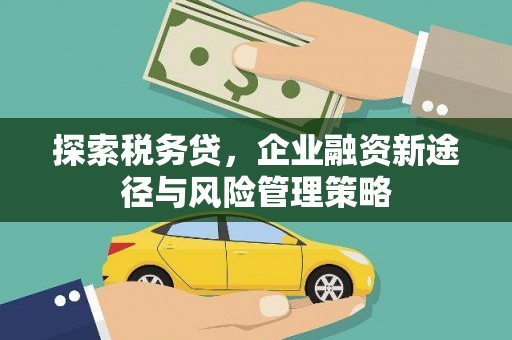 马村探索税务贷，企业融资新途径与风险管理策略