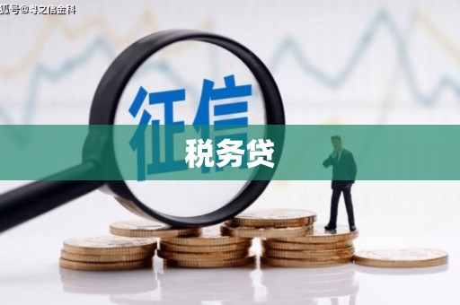 马村税务贷