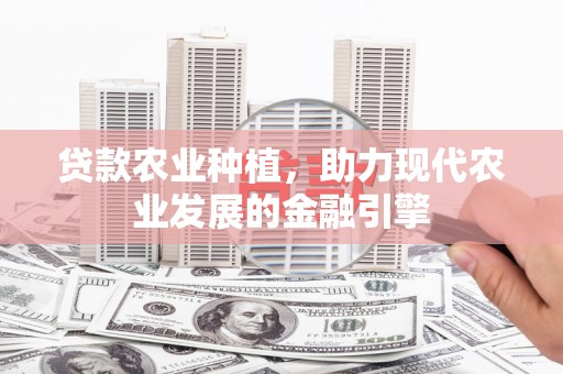 马村贷款农业种植，助力现代农业发展的金融引擎