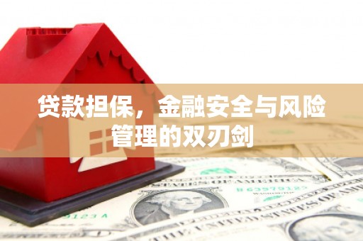 马村贷款担保，金融安全与风险管理的双刃剑