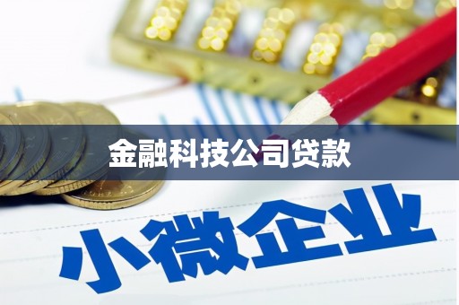 马村金融科技公司贷款