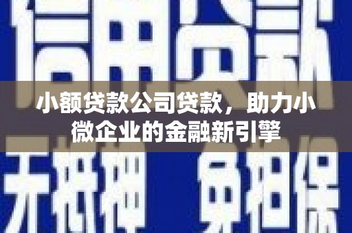 马村小额贷款公司贷款，助力小微企业的金融新引擎