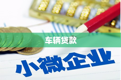 马村车辆贷款
