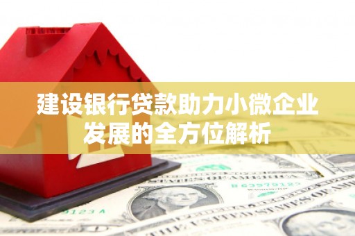 马村建设银行贷款助力小微企业发展的全方位解析