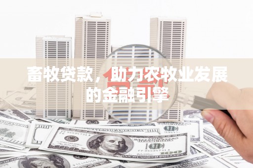 马村畜牧贷款，助力农牧业发展的金融引擎