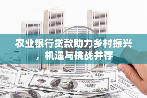马村农业银行贷款助力乡村振兴，机遇与挑战并存