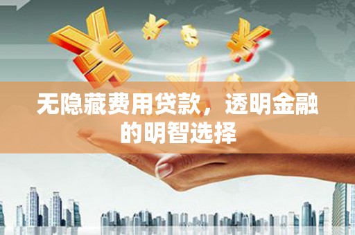 马村无隐藏费用贷款，透明金融的明智选择
