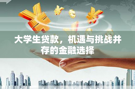马村大学生贷款，机遇与挑战并存的金融选择