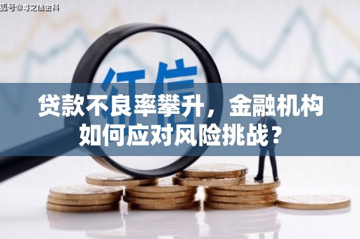 马村贷款不良率攀升，金融机构如何应对风险挑战？